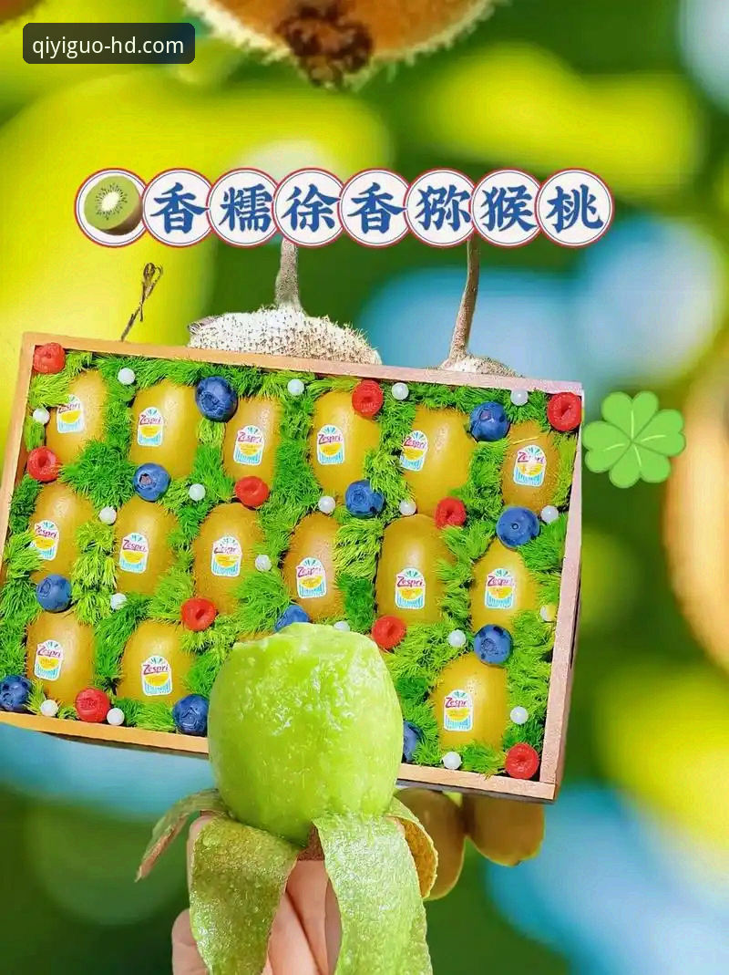 奇异果体育更新怎么样 奇异果体育平台v2.0.8全面评测:更新后体验是否真的值得一试?